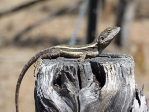 Photograph by Sonya Duus