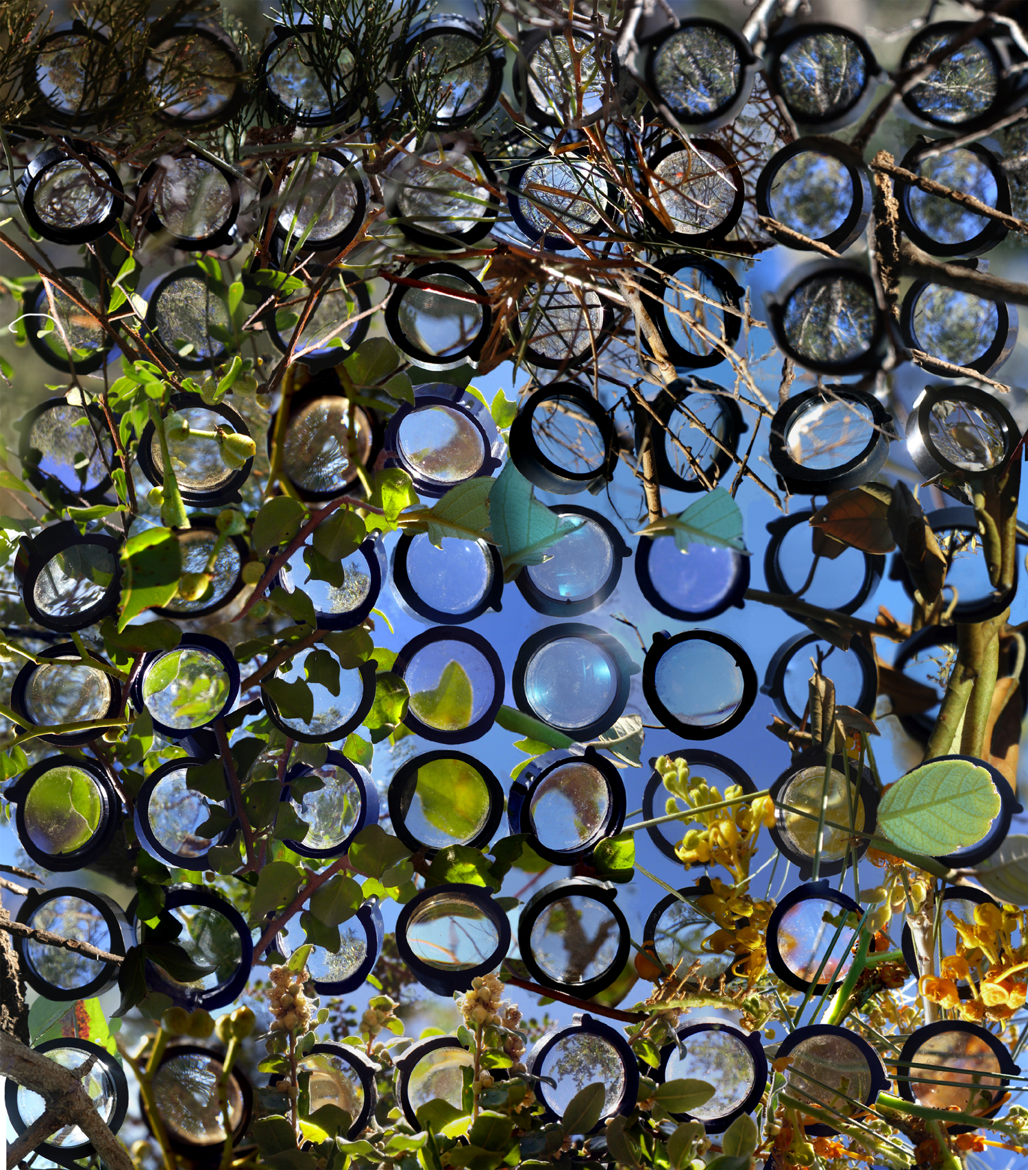 GlendaOrr-Multifocal2-2013-HiRes