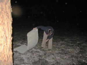 Jude Roberts, paper in coals