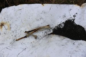 Paper, ash, burnt bones, Bimblebox by Jill Sampson and Karl Hoch