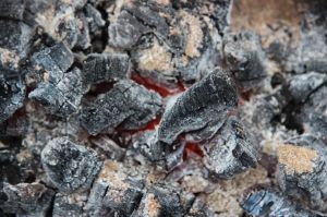 Hot Coals, Bimblebox, by Jill Sampson