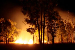 Fire on Bimblebox by Glenda Orr