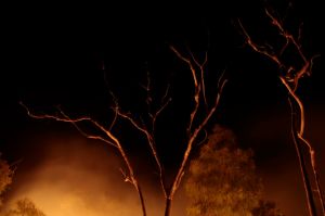 Fire on Bimblebox by Glenda Orr