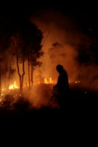 Fire on Bimblebox, by Glenda Orr