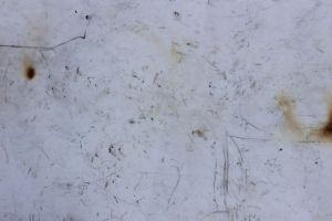 Burnt Stick Drawing 1