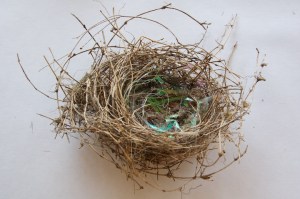 Studio preparations for Document://Bimblebox