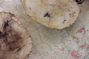 Vanishing Food Bowls, detail