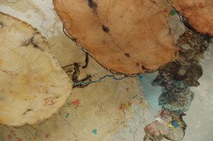 Vanishing Food Bowls, detail