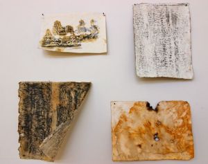 Bimblebox Imprints, Jude Roberts