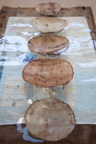 photo by Mel de Ruyter