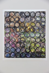 Multifocul, Glenda Orr