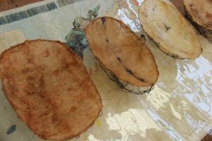 Vanishing Food Bowls (detail), Jill Sampson