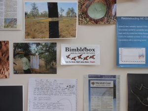 Meanwhile at Bimblebox (detail), Samara McIlroy