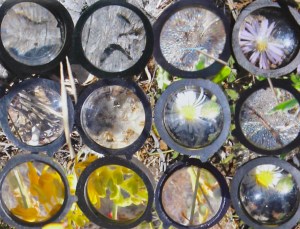 Multifocal (detail), Glenda Orr