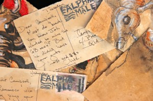 Alpha Mail, detail