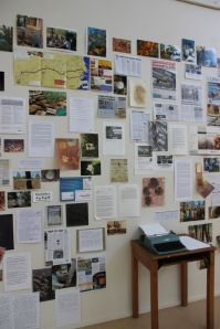 Meanwhile at Bimblebox (detail), Samara McIlroy