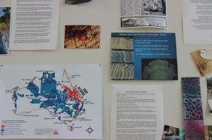 Meanwhile at Bimblebox (detail), Samara McIlroy