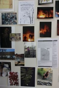 Meanwhile at Bimblebox (detail), Samara McIlroy