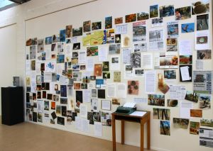 Meanwhile at Bimblebox (detail), Samara McIlroy