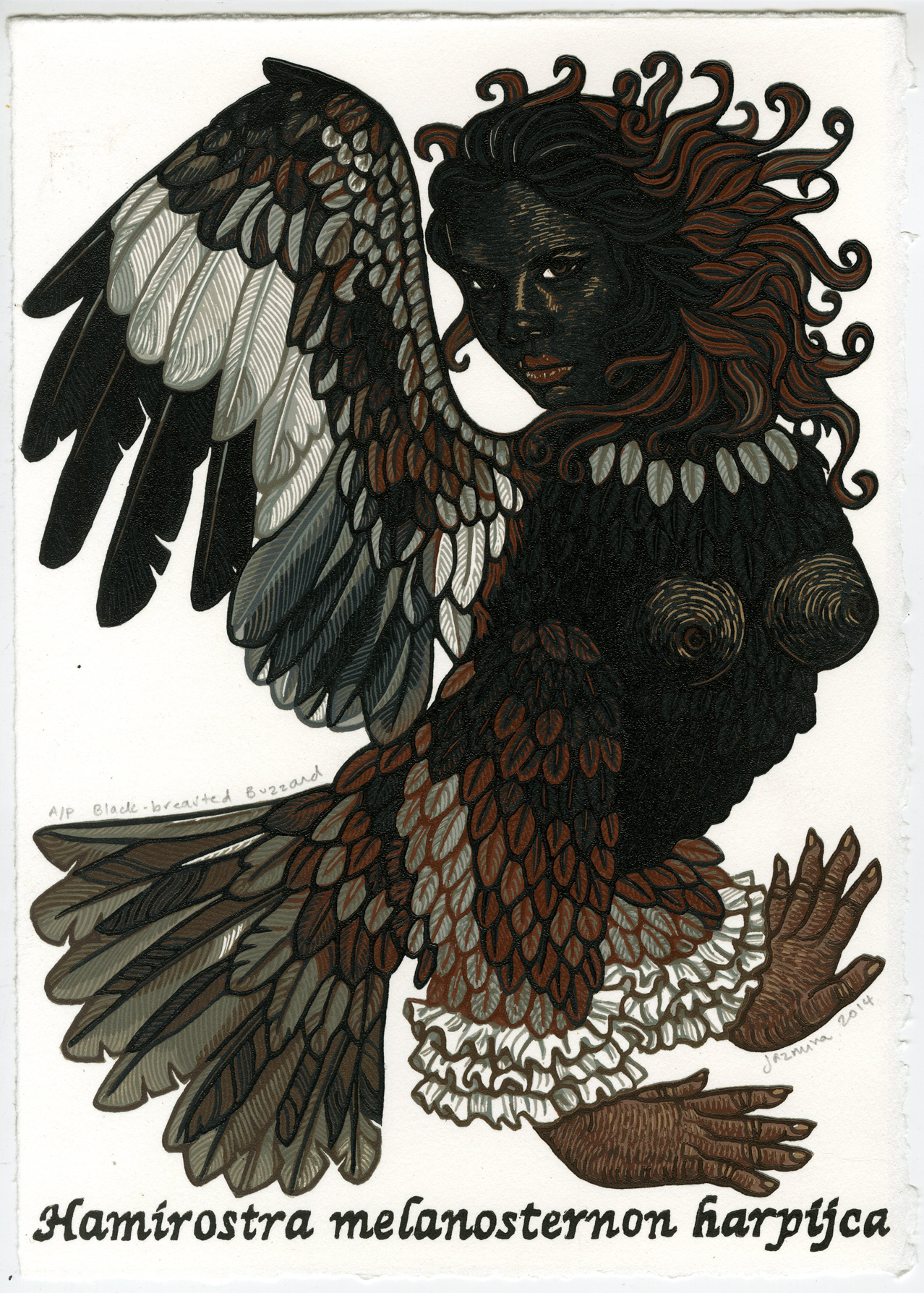 jazmina-cininas-black-breasted-buzzard-photo-courtesy-of-artist_small