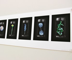 REsource detail, Donna Davis, photo by Jill Sampson