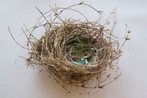 Studio preparations for Document://Bimblebox