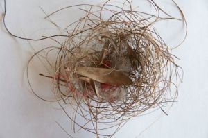 Studio preparations for Document://Bimblebox