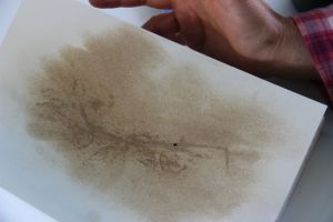 Jude Roberts' sketchbook