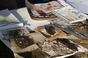 Artist Liz Mahood working with leaf litter and earth textures.  photo by Glenda Orr.