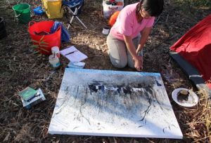 Liz Mahood, working in the landscape, Bimblebox 2013, photo by Jill Sampson