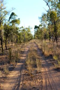 Bimblebox 2013, photo by Jill Sampson