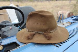 Bimblebox 2013, photo Jill Sampson