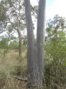 photo by Beth Jackson 