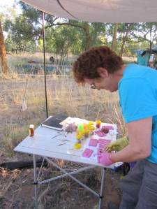 Bimblebox2014ArtistCamp-GlendaOrr-resincasting2-photoBethJ