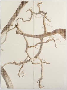 Bimblebox Sky Map 2, 2013, artist Glenda Orr, photo by Carl Warner