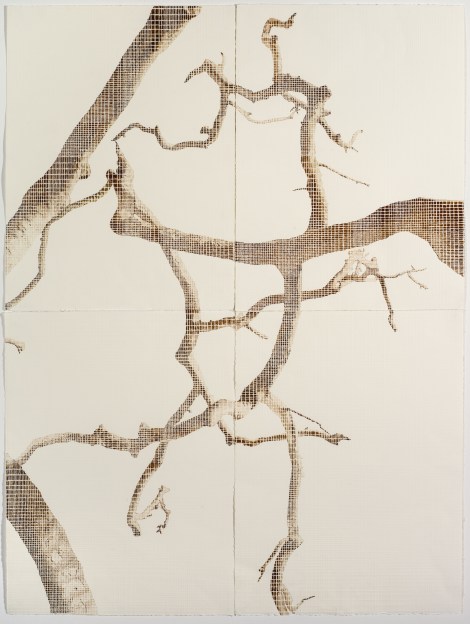 Bimblebox Sky Mapping 2