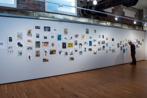 Bimblebox 153 Birds photo Paula Quintela