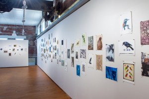 Bimblebox 153 Birds photo Paula Quintela