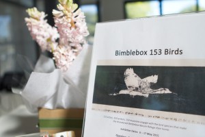 photo Alana Brekelmans 