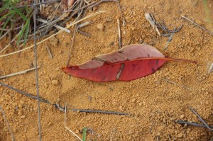 photo Jill Sampson, 2014.