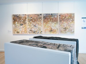 The invisible that is', 2012, by Rockhampton and Banana artist Liz Mahood. 'What's yours is my coal mine', 2013, In the foreground are artist Books by Townsville artist Gerald Soworka. photo by Carl Warner.