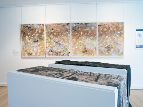 Bimblebox_05 photo by Carl Warner