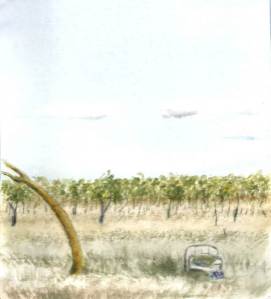 MichaelFoley-Bimblebox-ArtistCamp2015-watercolour1