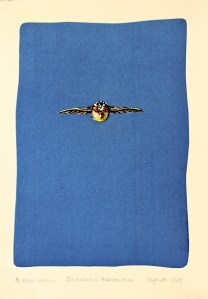 Red-browed pardalote, 2015, Brenda Dyack, photo Jill Sampson