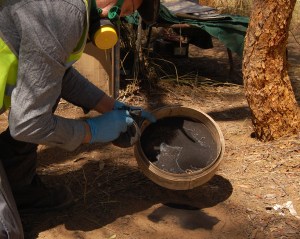 A Tulloch - Haunt (Print Process) 2015