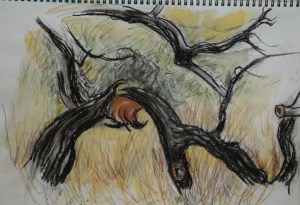 Tree Choreography (5), 2015, Philippa Howells