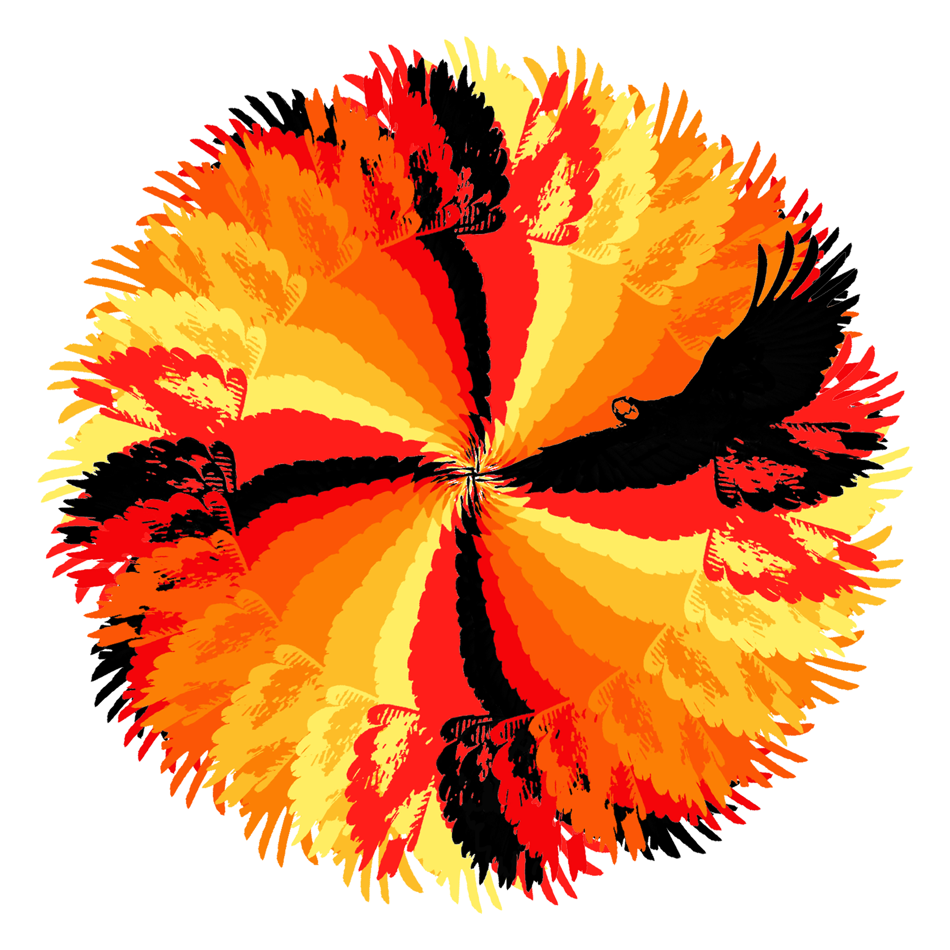 macdonald_fiona_redtailed_cockatoobanksian2015_cropped