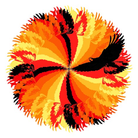 macdonald_fiona_redtailed_cockatoobanksian2015_cropped