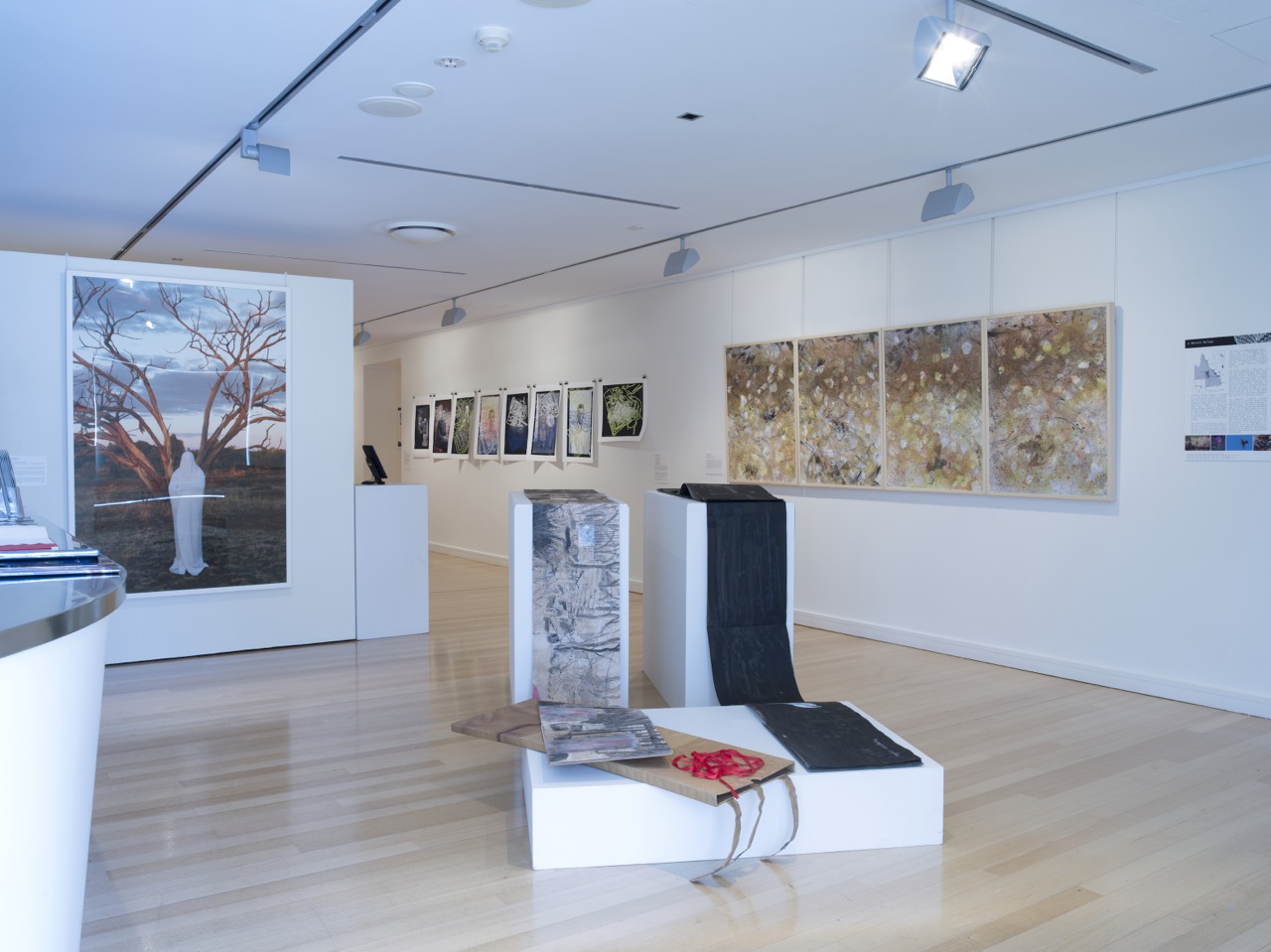 Bimblebox art science nature at RAG photo by Carl Warner.jpg