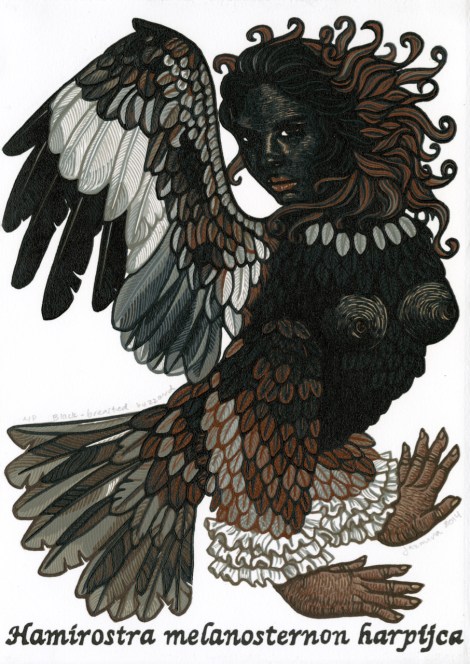 16 Black breasted Buzzard, 2014, Jazmina Cininas (1)